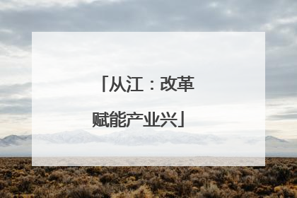 从江：改革赋能产业兴