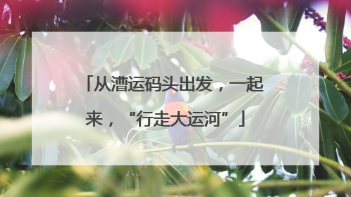 从漕运码头出发，一起来，“行走大运河”