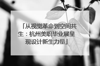 从视觉革命到空间共生：杭州美职毕业展呈现设计新生力量