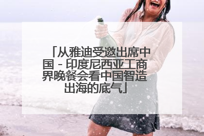 从雅迪受邀出席中国－印度尼西亚工商界晚餐会看中国智造出海的底气