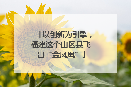 以创新为引擎，福建这个山区县飞出“金凤凰”