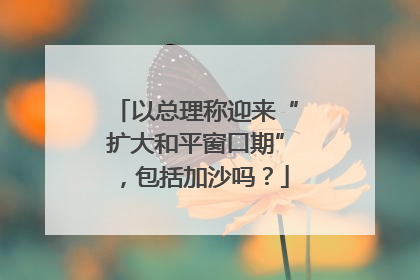 以总理称迎来“扩大和平窗口期”，包括加沙吗？