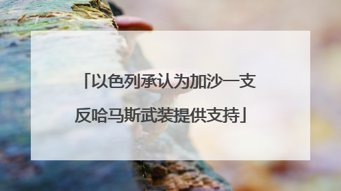 以色列承认为加沙一支反哈马斯武装提供支持
