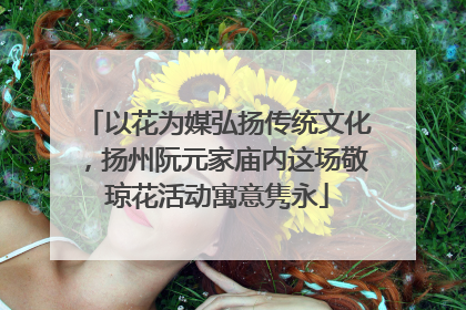 以花为媒弘扬传统文化，扬州阮元家庙内这场敬琼花活动寓意隽永