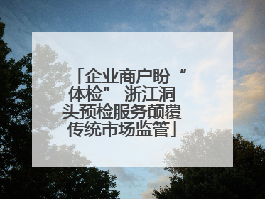 企业商户盼“体检” 浙江洞头预检服务颠覆传统市场监管