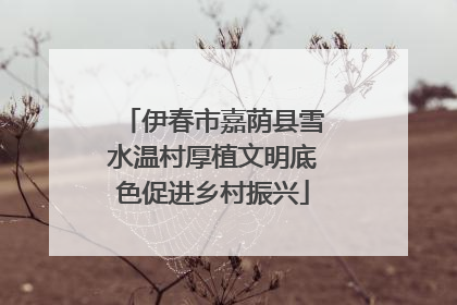 伊春市嘉荫县雪水温村厚植文明底色促进乡村振兴