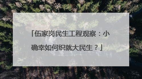 伍家岗民生工程观察：小确幸如何织就大民生？