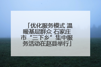 优化服务模式 温暖基层群众 石家庄市“三下乡”集中服务活动在赵县举行
