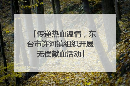 传递热血温情，东台市许河镇组织开展无偿献血活动