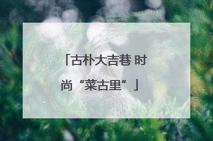 古朴大吉巷 时尚“菜古里”