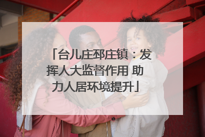 台儿庄邳庄镇：发挥人大监督作用 助力人居环境提升