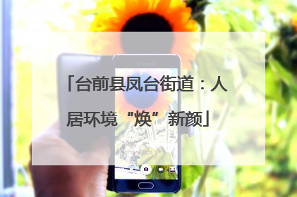 台前县凤台街道：人居环境“焕”新颜