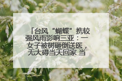 台风“蝴蝶”携较强风雨影响三亚：一女子被树砸倒送医，无大碍当天回家 当地已紧急清障