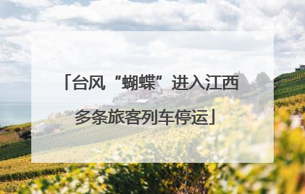 台风“蝴蝶”进入江西 多条旅客列车停运