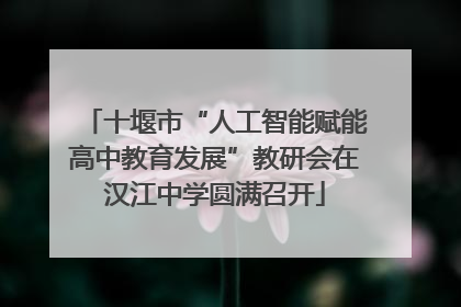 十堰市“人工智能赋能高中教育发展”教研会在汉江中学圆满召开