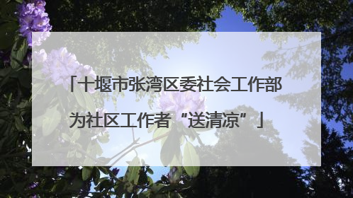 十堰市张湾区委社会工作部为社区工作者“送清凉”