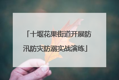 十堰花果街道开展防汛防灾防溺实战演练