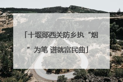 十堰郧西关防乡执“烟”为笔 谱就富民曲