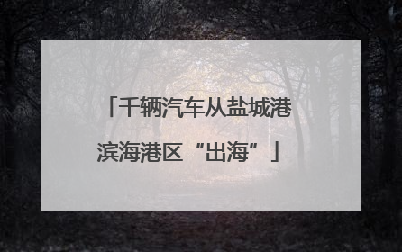 千辆汽车从盐城港滨海港区“出海”