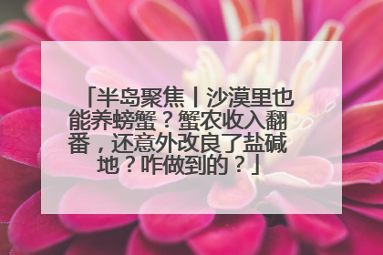 半岛聚焦丨沙漠里也能养螃蟹？蟹农收入翻番，还意外改良了盐碱地？咋做到的？