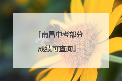 南昌中考部分成绩可查询