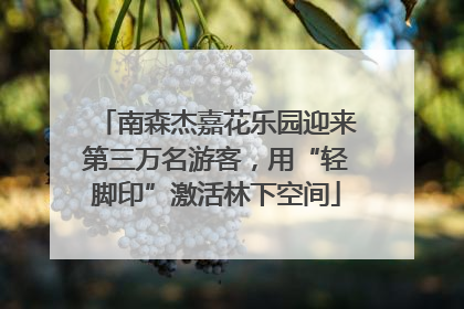 南森杰嘉花乐园迎来第三万名游客，用“轻脚印”激活林下空间