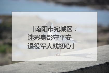 南阳市宛城区：迷彩身影守平安 退役军人践初心