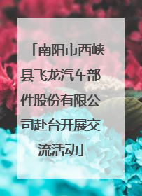 南阳市西峡县飞龙汽车部件股份有限公司赴台开展交流活动