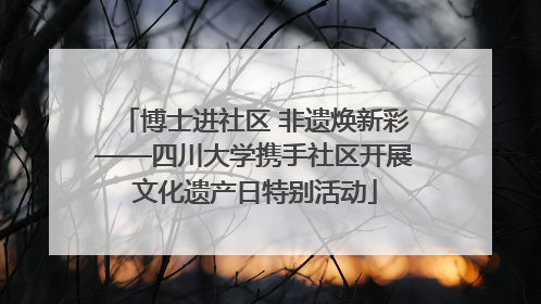 博士进社区 非遗焕新彩——四川大学携手社区开展文化遗产日特别活动