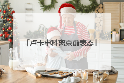 卢卡申科离京前表态