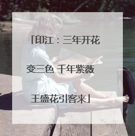 印江：三年开花变三色 千年紫薇王盛花引客来
