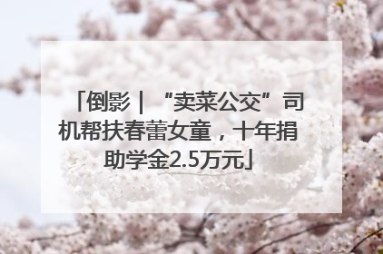 倒影｜“卖菜公交”司机帮扶春蕾女童，十年捐助学金2.5万元