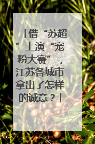 借“苏超”上演“宠粉大赛”，江苏各城市拿出了怎样的诚意？