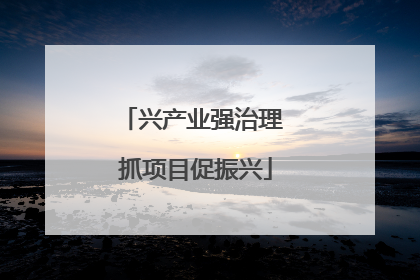 兴产业强治理 抓项目促振兴