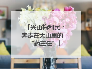 兴山梅利民：奔走在大山里的“药主任”