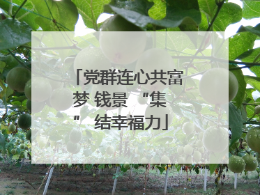 党群连心共富梦 钱景 “集” 结幸福力