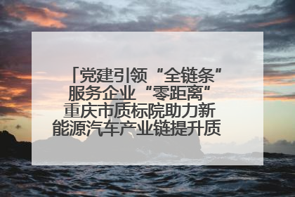 党建引领“全链条” 服务企业“零距离” 重庆市质标院助力新能源汽车产业链提升质量管理水平