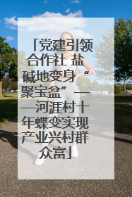 党建引领合作社 盐碱地变身“聚宝盆”——河涯村十年蝶变实现产业兴村群众富