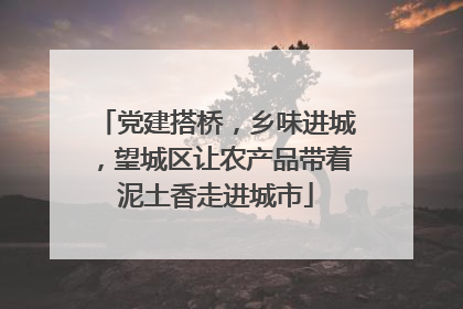 党建搭桥，乡味进城，望城区让农产品带着泥土香走进城市