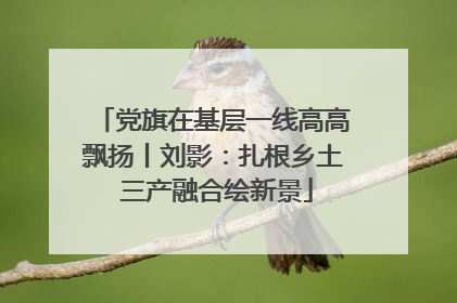 党旗在基层一线高高飘扬丨刘影：扎根乡土 三产融合绘新景