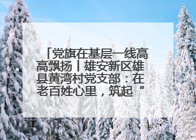 党旗在基层一线高高飘扬丨雄安新区雄县黄湾村党支部：在老百姓心里，筑起“一座山”