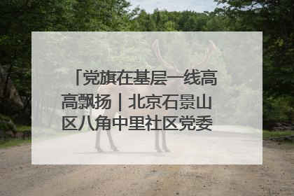 党旗在基层一线高高飘扬｜北京石景山区八角中里社区党委：用脚步丈量民生