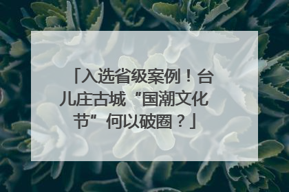 入选省级案例！台儿庄古城“国潮文化节”何以破圈？
