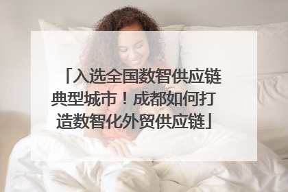 入选全国数智供应链典型城市！成都如何打造数智化外贸供应链
