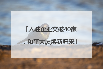 入驻企业突破40家，和平大厦焕新归来