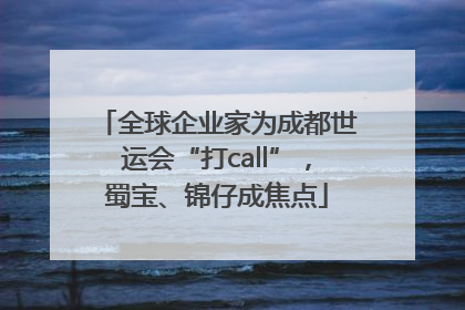 全球企业家为成都世运会“打call”，蜀宝、锦仔成焦点