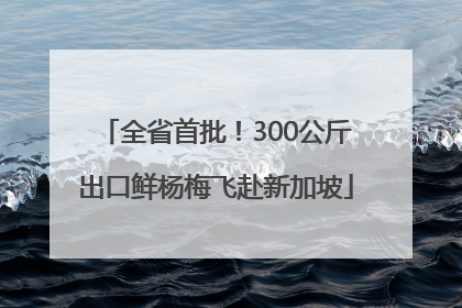 全省首批！300公斤出口鲜杨梅飞赴新加坡