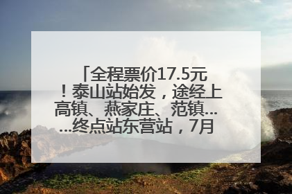 全程票价17.5元！泰山站始发，途经上高镇、燕家庄、范镇……终点站东营站，7月1日开通！