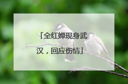 全红婵现身武汉，回应伤情