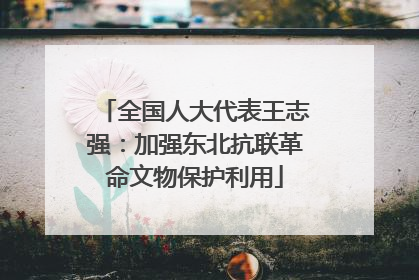 全国人大代表王志强：加强东北抗联革命文物保护利用
